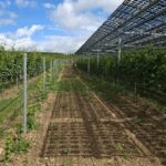 Perú promueve inversión chilena en energía y agroindustria en Santiago