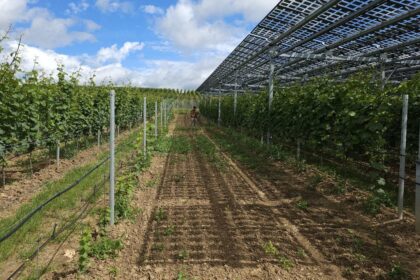 Perú promueve inversión chilena en energía y agroindustria en Santiago