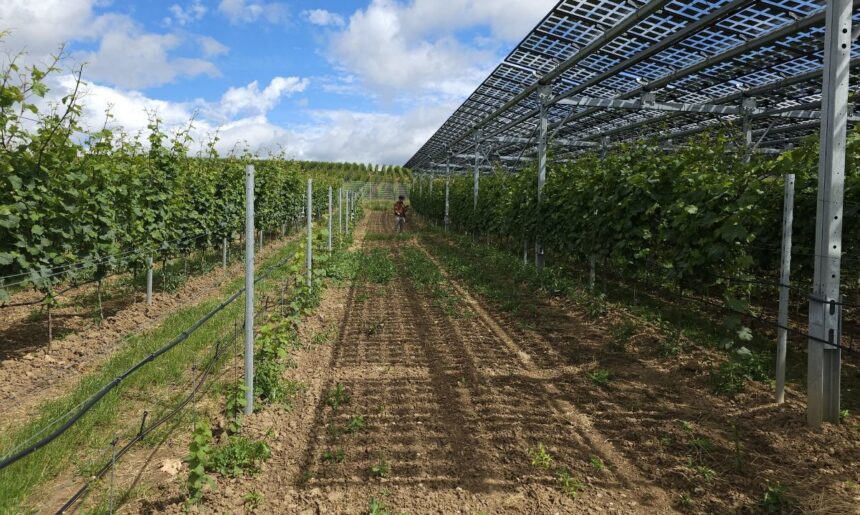 Perú promueve inversión chilena en energía y agroindustria en Santiago