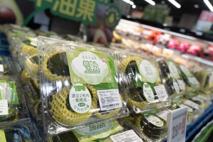 Perú impulsa exportación de aguacate en China con campaña 2025