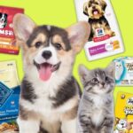 Amazon Pet Days 2026: fechas y ofertas en productos para mascotas