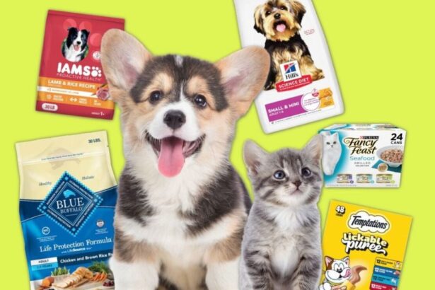 Amazon Pet Days 2026: fechas y ofertas en productos para mascotas