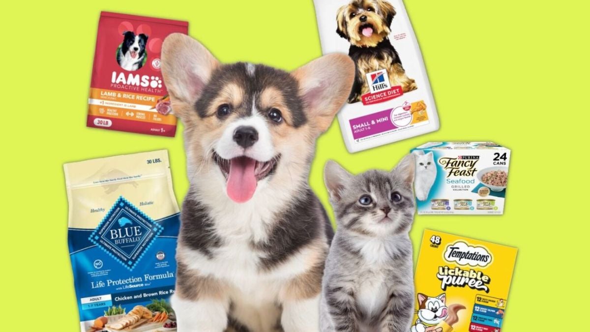Amazon Pet Days 2026: fechas y ofertas en productos para mascotas