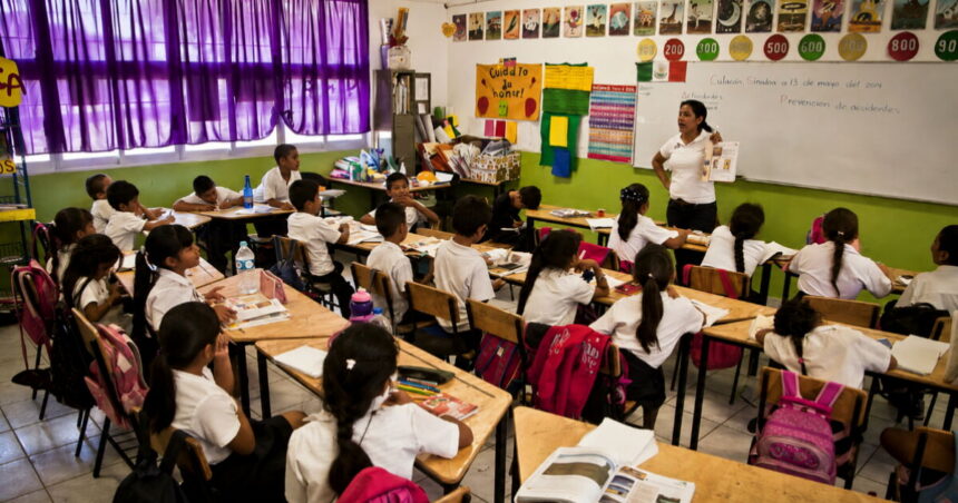 Condusef recomienda seguro educativo para estudios universitarios