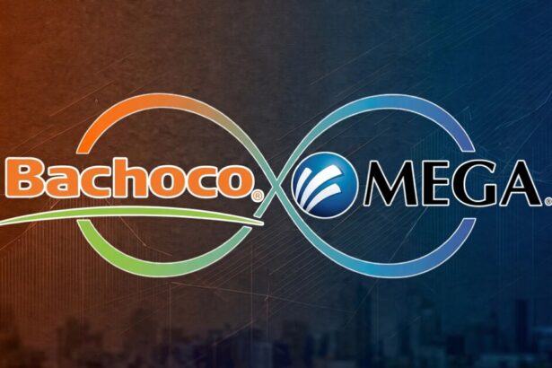 Familia Bours, el origen de Bachoco y Megacable en México