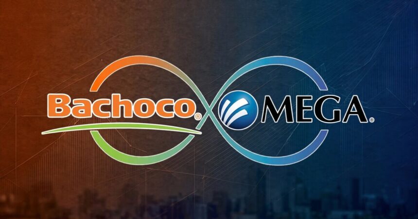 Familia Bours, el origen de Bachoco y Megacable en México