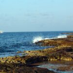 Quintana Roo registra récord histórico de sargazo en 2026