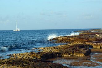 Quintana Roo registra récord histórico de sargazo en 2026