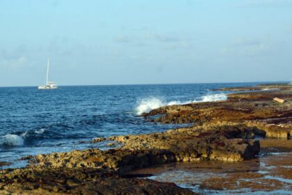 Quintana Roo registra récord histórico de sargazo en 2026
